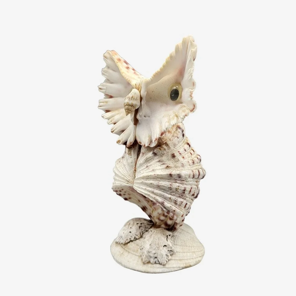 Vintage Googly Eyes Handcrafted Seashell Owl Beach decor Boho Folk Art 4